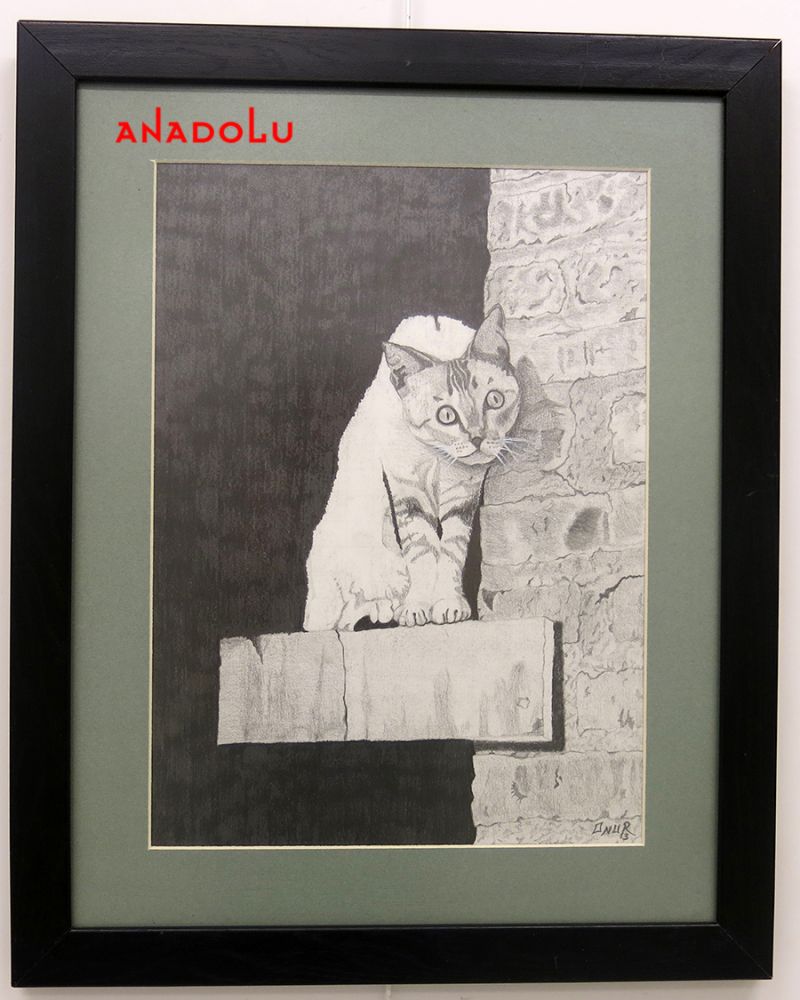 Anadolu Çizim Dersleri Adana