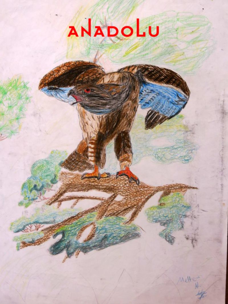 Çocuklara Yönelik Özel Resim Eğitimleri Adana