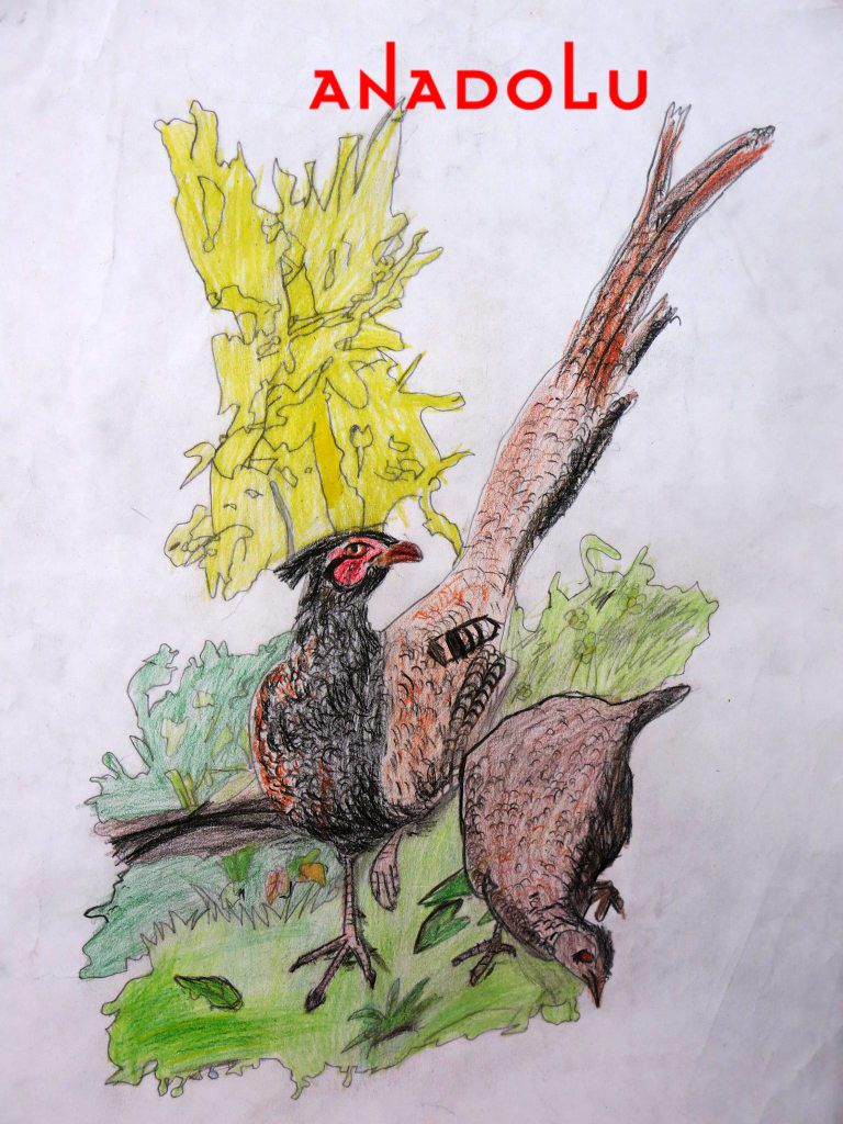 Çocuklar Yönelik Resim Kursu Adana