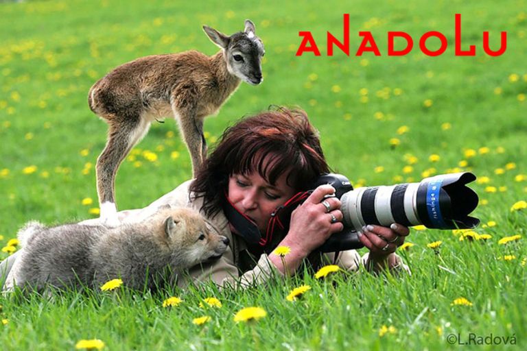 Doğa Fotoğrafı Çekimleri Adana