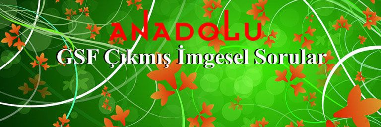 Güzel Sanatlar Sınavında Çıkmış İmgesel Konuları Adana